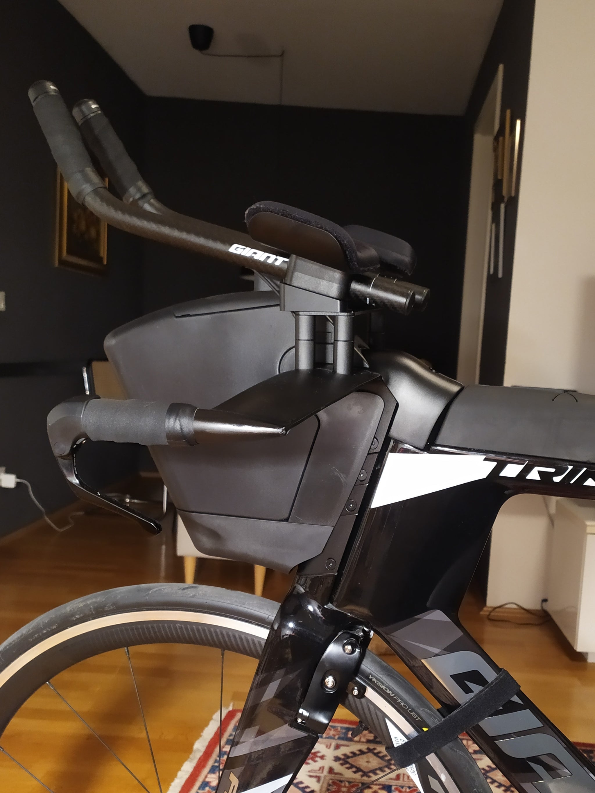 GIANT Trinity Behind the arms